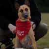 Unsere Lucy sucht ihr eigenes Zuhause