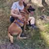 Unsere Lucy sucht ihr eigenes Zuhause