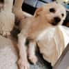 Sammy, Sensibelchen sucht Ruhe