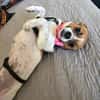 Vertrauensvoll zart liebevoll = HOLLY♥