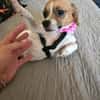 Vertrauensvoll zart liebevoll = HOLLY♥