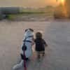Sharky Menschenfreund sucht Familie 🐶