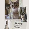 amaya