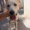 COPITO (Maria)