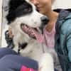 NOTFALLHUND JACKSON sucht dringend🙏🆘