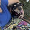 Rhonda Braquen Mix 9-10 Jahre