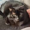Coco in Mannheim sucht ihr Glück (SD)