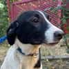 MIA 2 sucht Familienanschluss