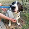 MIA 2 sucht Familienanschluss