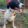 MIA 2 sucht Familienanschluss