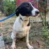 MIA 2 sucht Familienanschluss