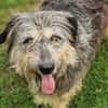 MAYA sucht Familie