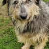 MAYA sucht Familie