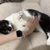 Schmusekatze NURIEL sucht!