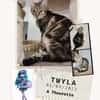 Twyla
