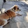 Juli: mit Sonne im Herzen