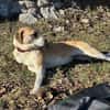 Juli: mit Sonne im Herzen
