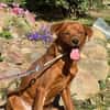 Sunny  ein kleiner Schatz