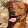 Sunny  ein kleiner Schatz