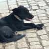 Betty hat einen Neuanfang verdient