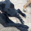 Betty hat einen Neuanfang verdient