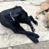 Betty hat einen Neuanfang verdient