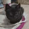 SALEM