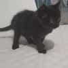 SALEM