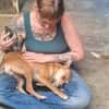 Sol6 sucht ein Zuhause