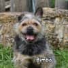 BIMBO