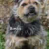 BIMBO