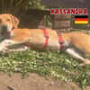Kassandra - freundlich und sportlich