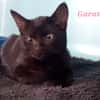 Garance