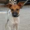 RICARDO (Martina)