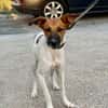 RICARDO (Martina)