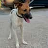 RICARDO (Martina)