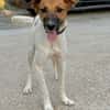 RICARDO (Martina)