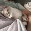 Kleiner Wildfang Pepito sucht Home