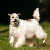 Schmusebacke Nancy sucht ihre Familie