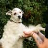 Schmusebacke Nancy sucht ihre Familie