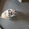 Mops Duo sucht Zuhause