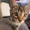Zula - SUCHT EIN NEUES ZUHAUSE