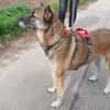 EMILIA - sucht Familienanschluss