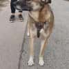 EMILIA - sucht Familienanschluss