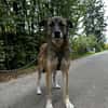 EMILIA - sucht Familienanschluss
