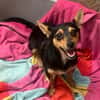Emmi sucht ihre Familie