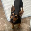 Emmi sucht ihre Familie