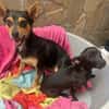 Emmi sucht ihre Familie