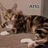 ARLO