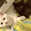 Spotty & Sooty